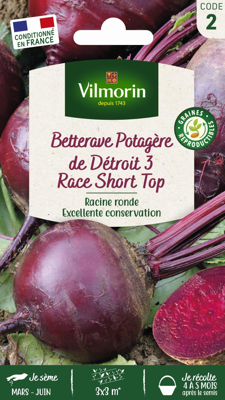 Betterave Potagère Détroit 3 Race Short Top - 5gr