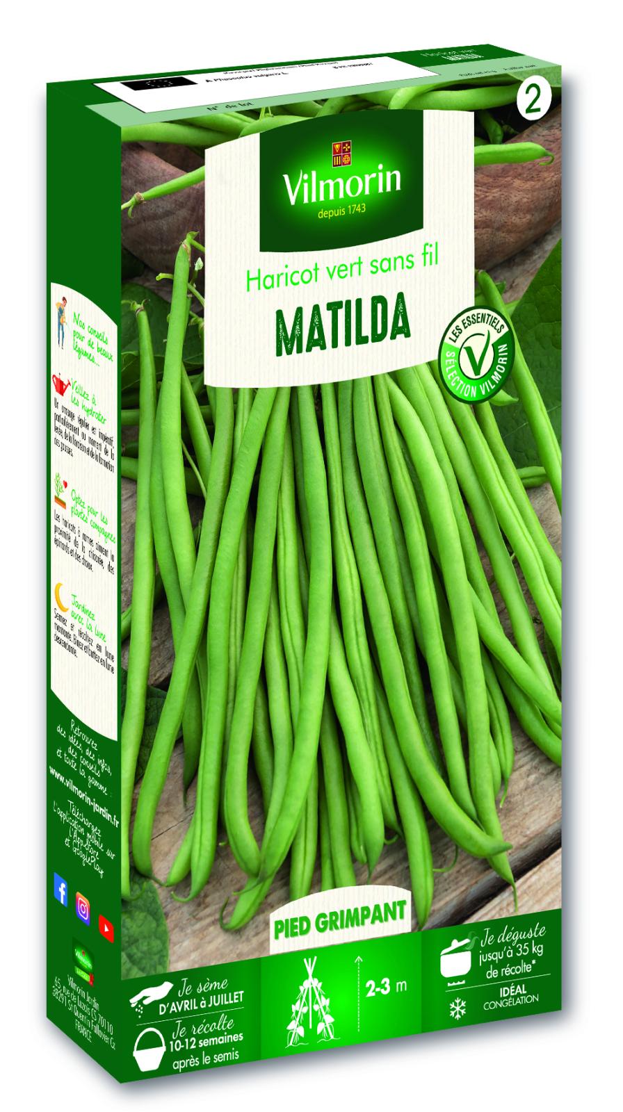 Haricot Matilda - 140gr