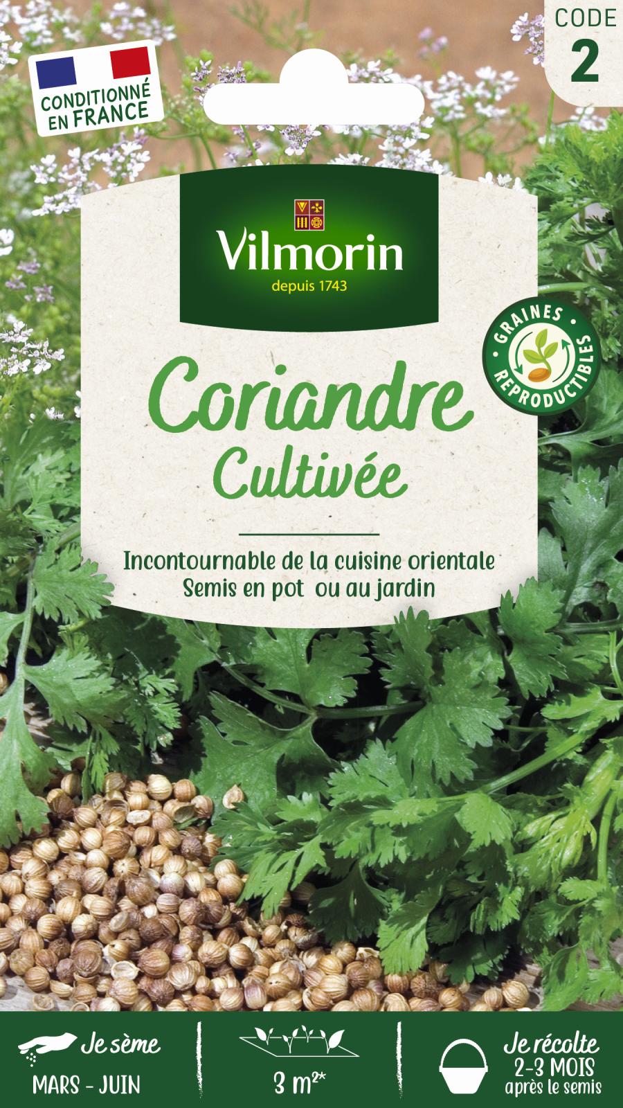 Coriandre Cultivée - 4gr