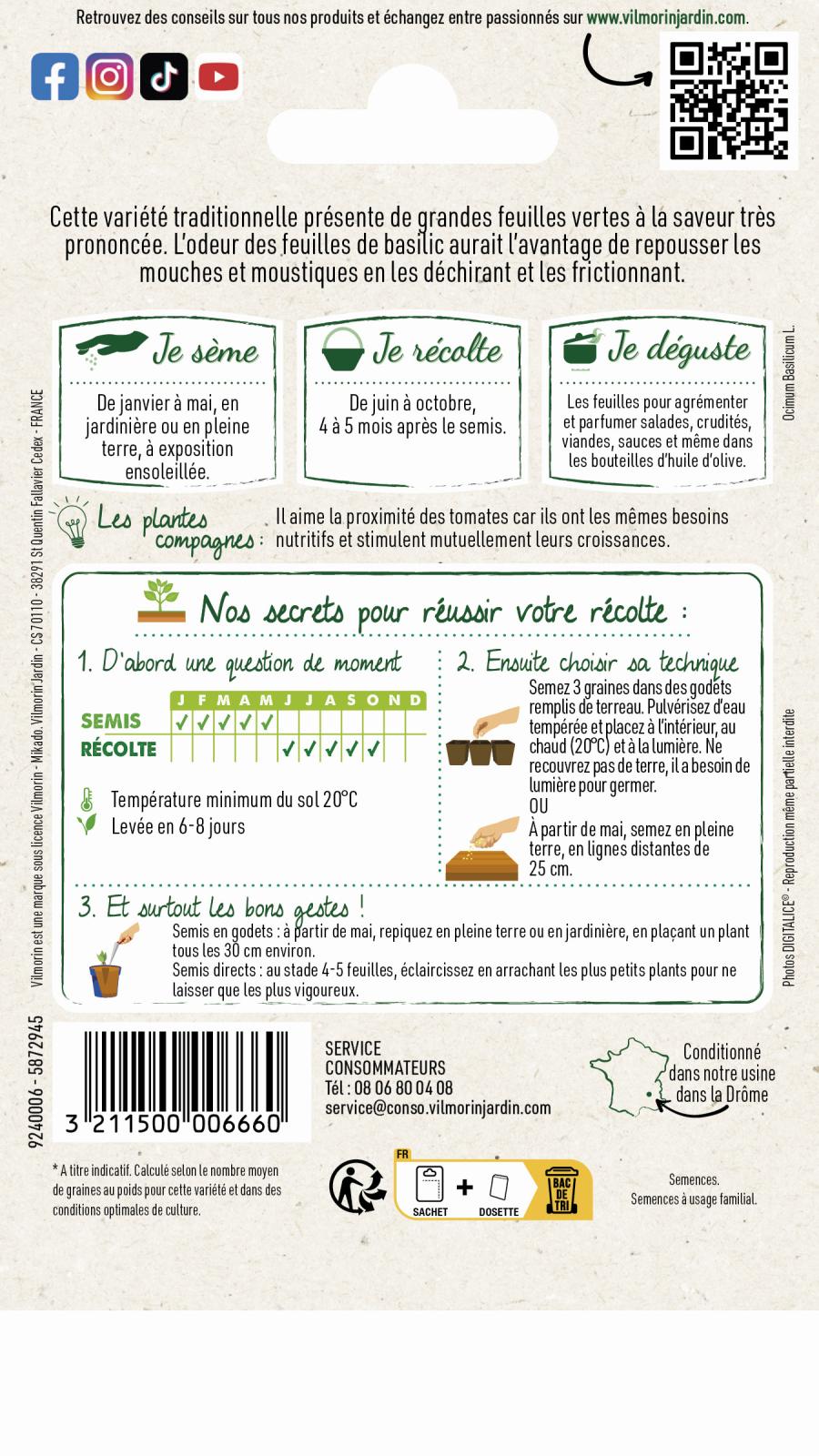 BASILIC GRD VERT 1