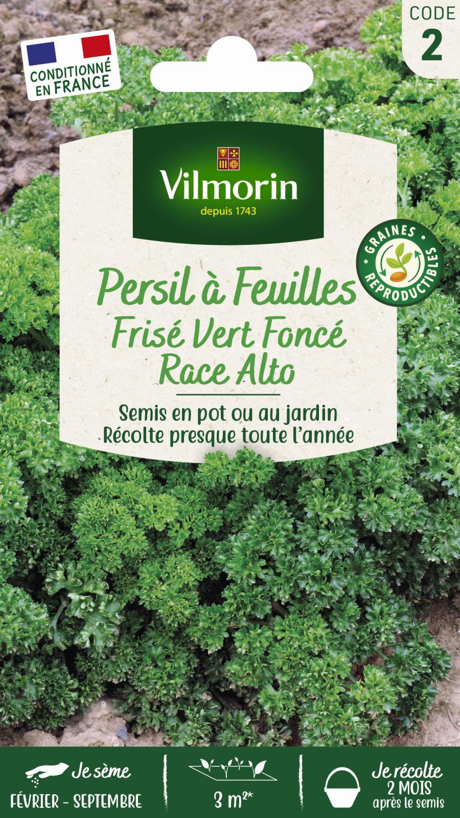 Persil Frisé Vert Foncé Race Alto - 5gr