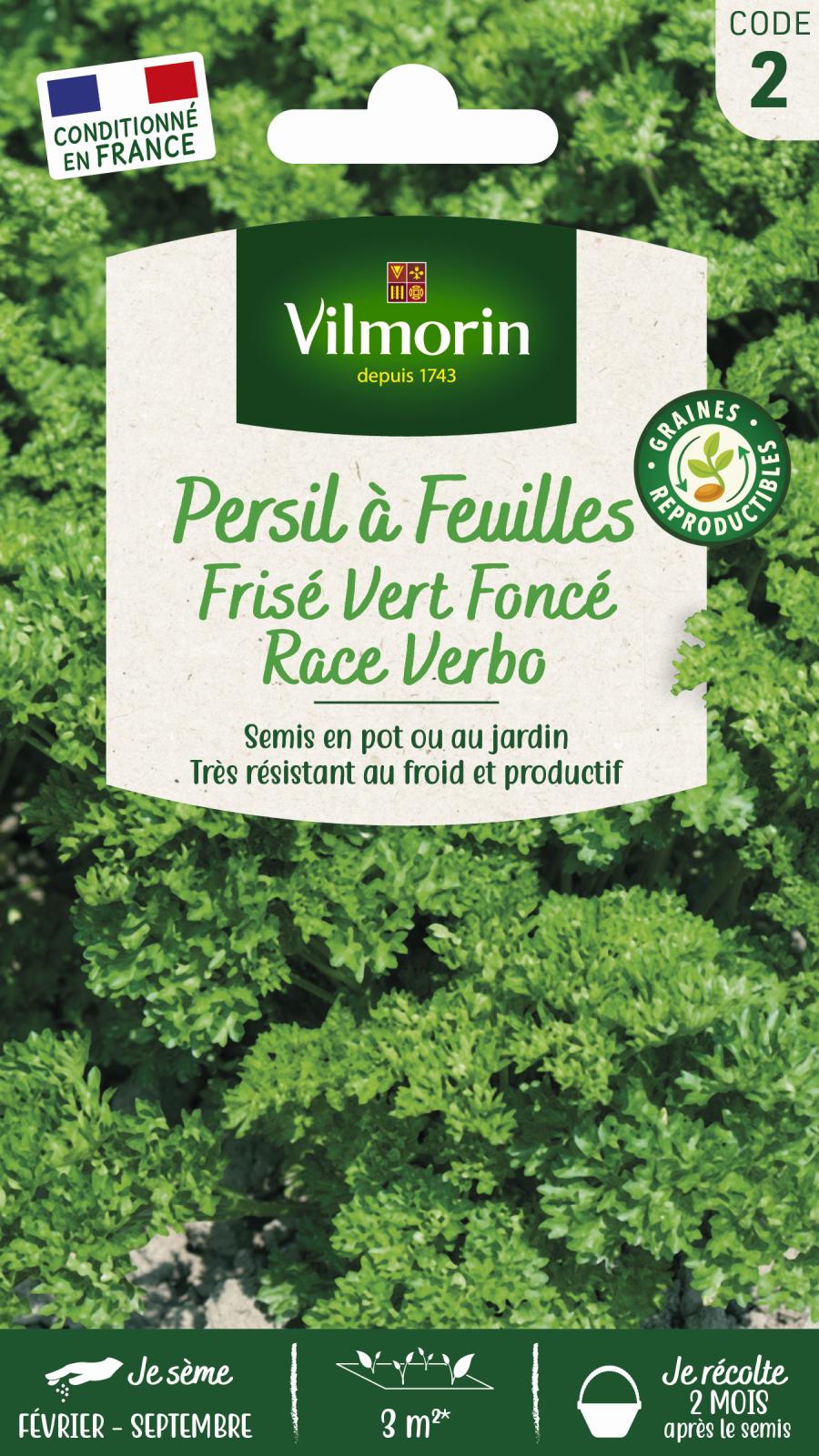 Persil Frisé Vert Foncé Race Verbo- 5gr
