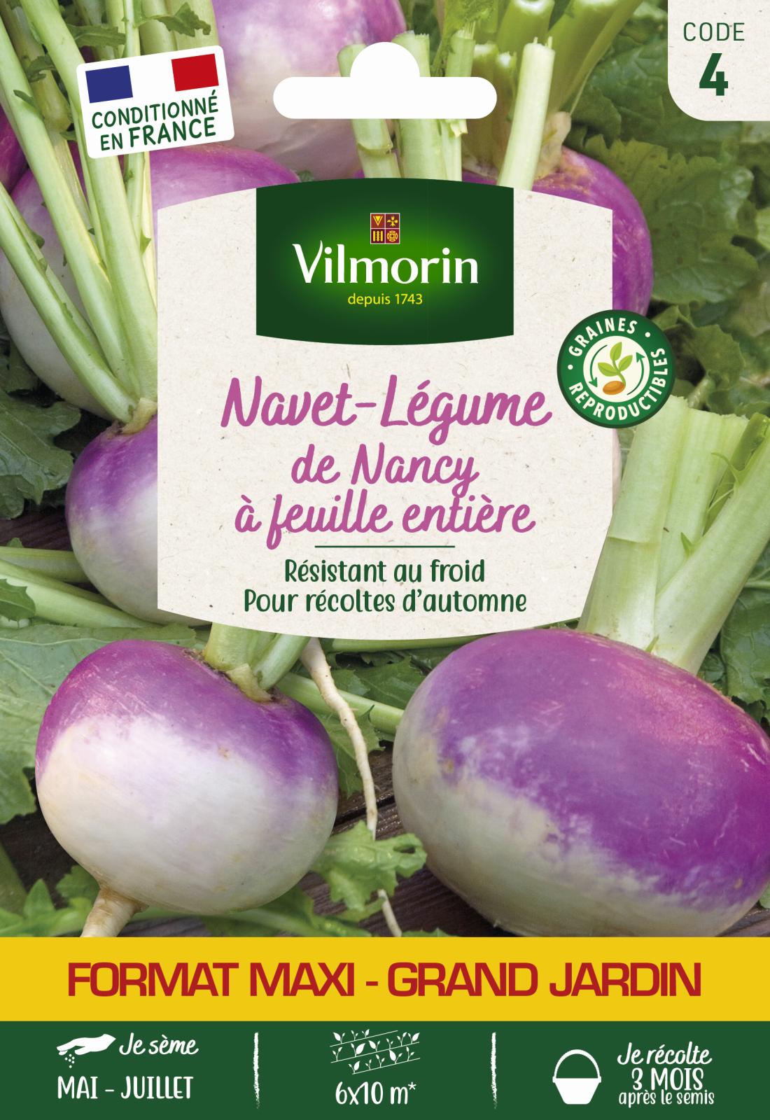 Navet-Légume de Nancy à Feuille Entière - Grand Modèle - 15gr