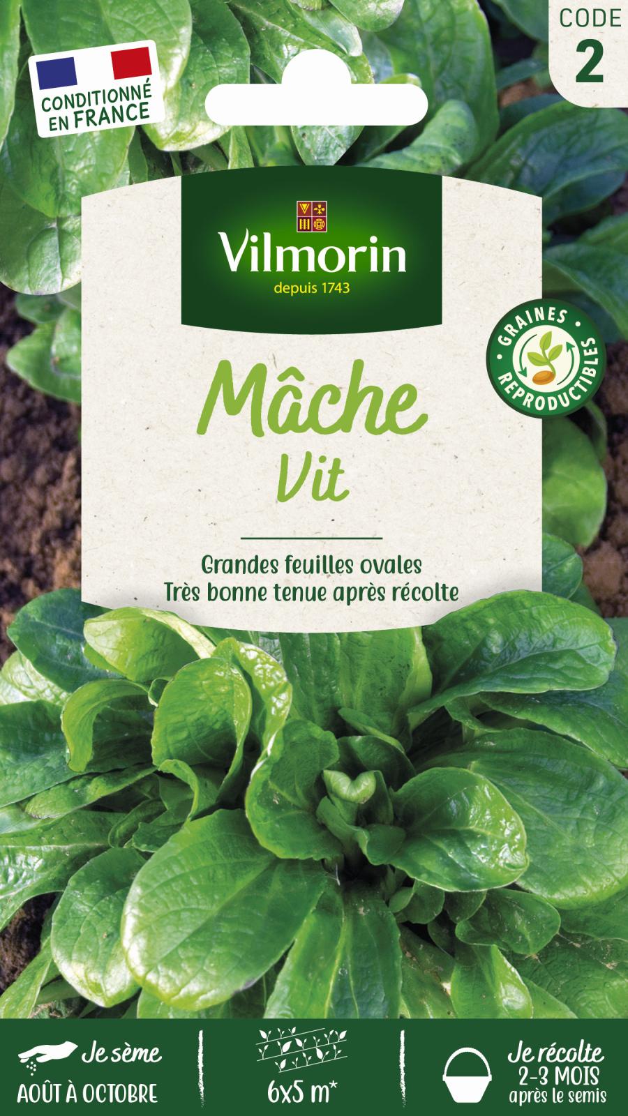 Mâche Vit - 3gr