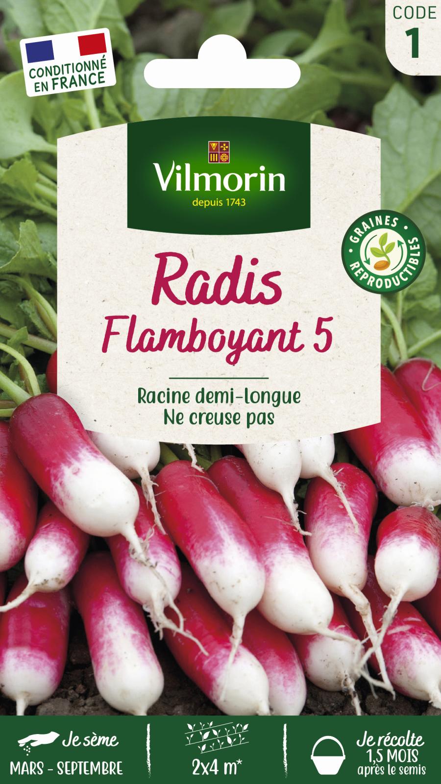 Radis Flamboyant - 10gr