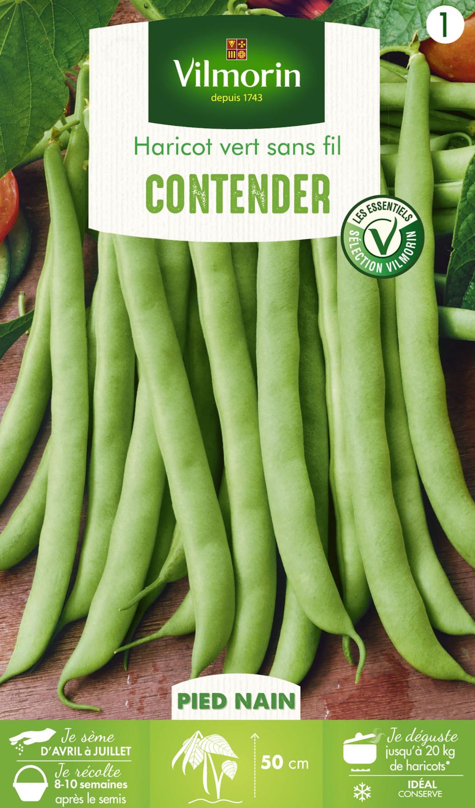 Haricot Nain Vert Contender - 250gr