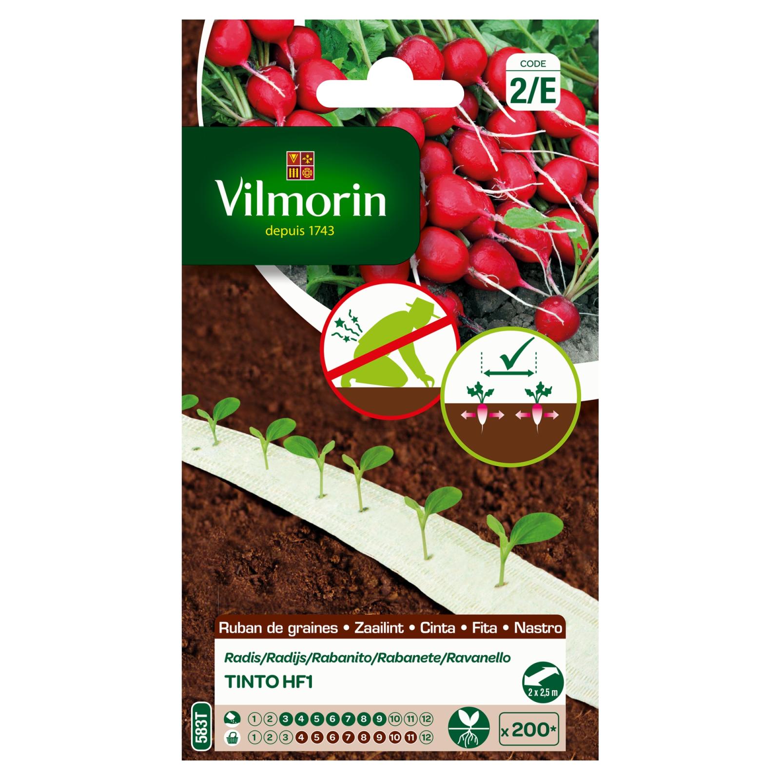 Ruban de Graines - Radis Tinto HF1 - 5m