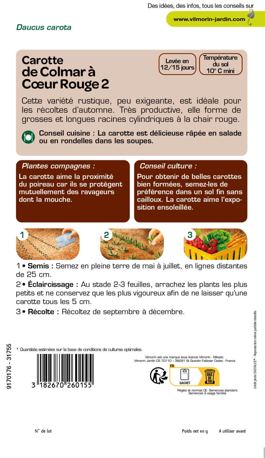 Carotte Colmar 2