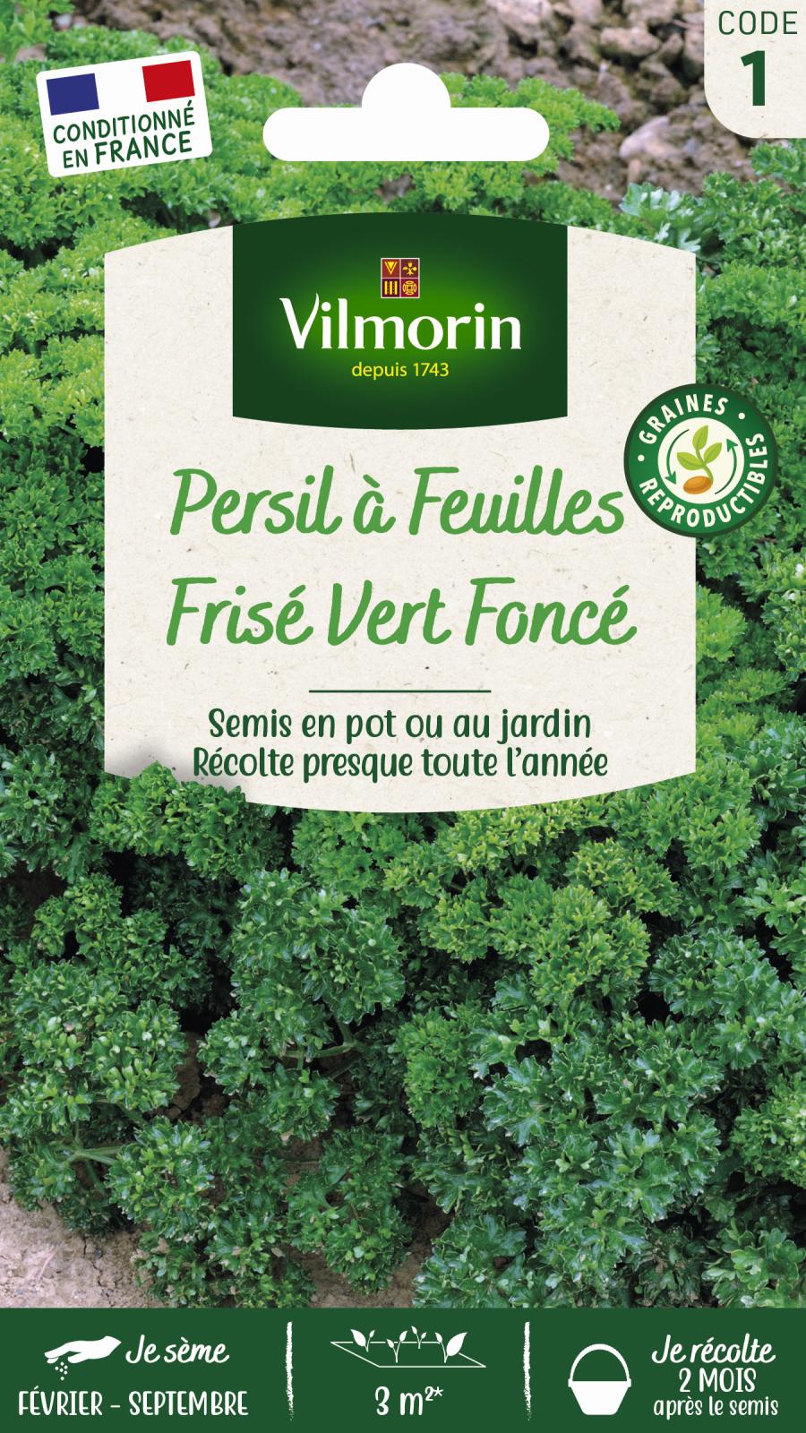 Persil Frisé Vert Foncé - 5gr