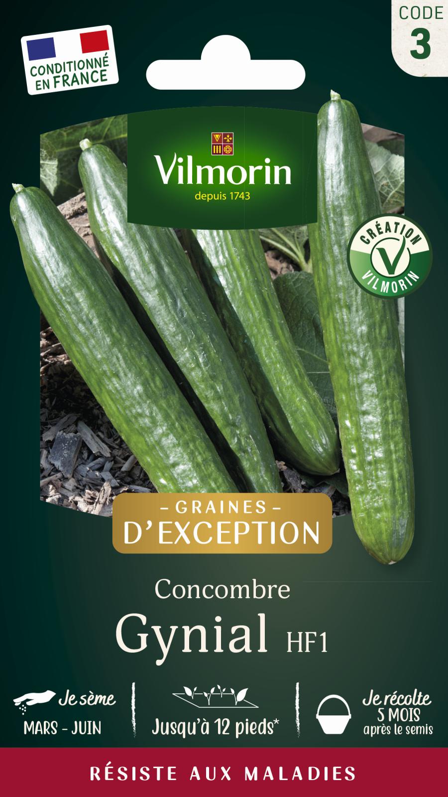 Concombre Gynial - Graines d\'Exception - 1gr