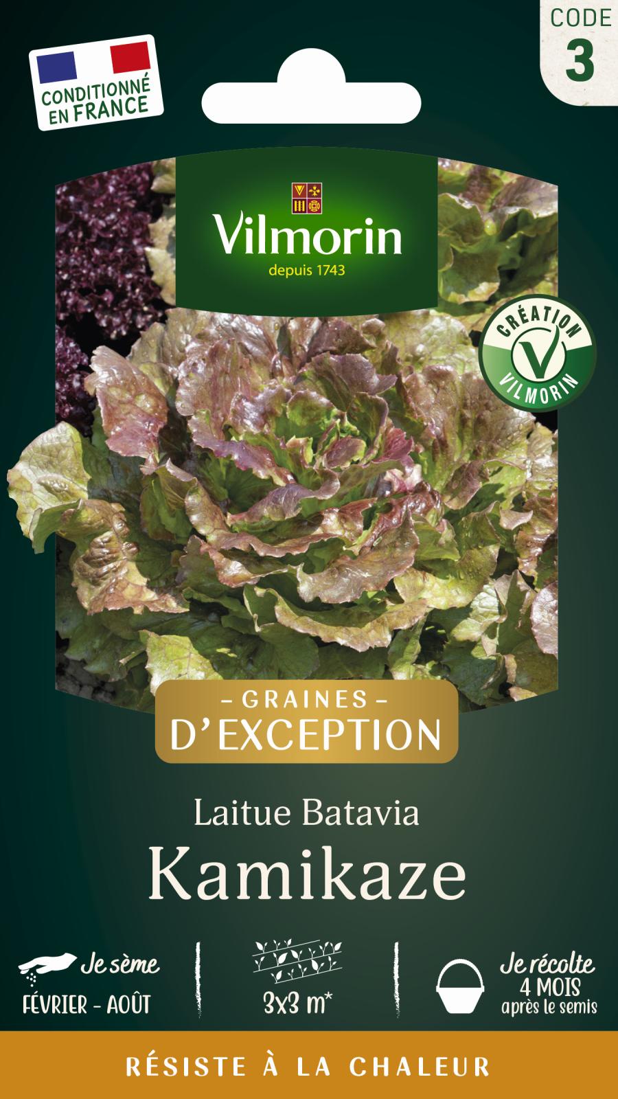 Laitue Batavia Kamikaze - Graines d\'Exception - 4gr