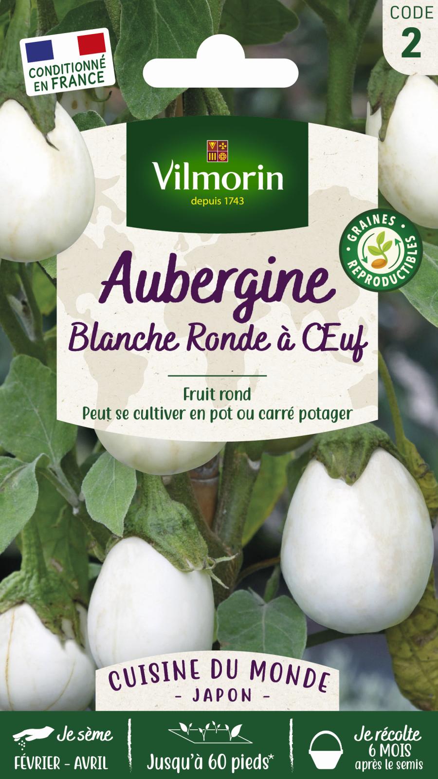 Aubergine Blanche Ronde à Œuf - Cuisine du Monde - 1gr