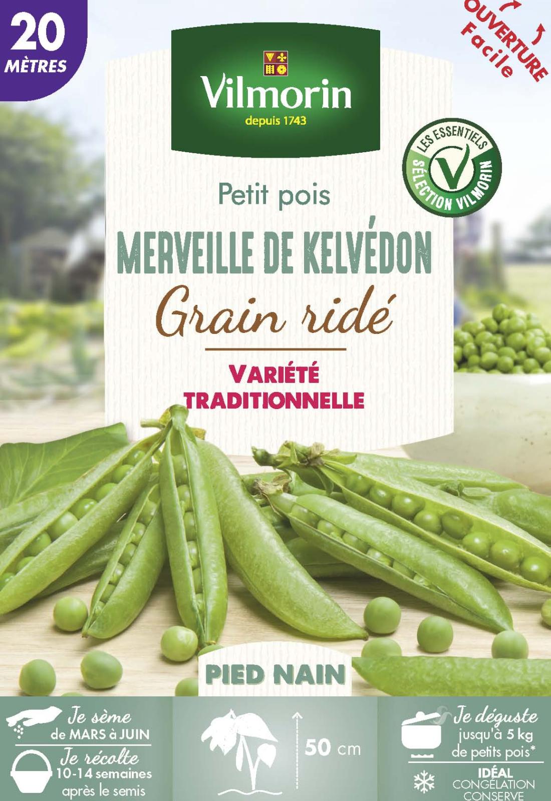 Pois Nain à Grain Ridé Merveille de Kelvedon - 20m