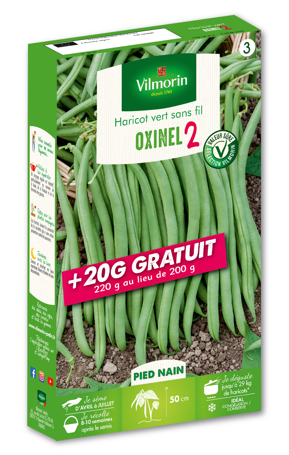 Haricot Nain Vert Oxinel + 20gr Offert