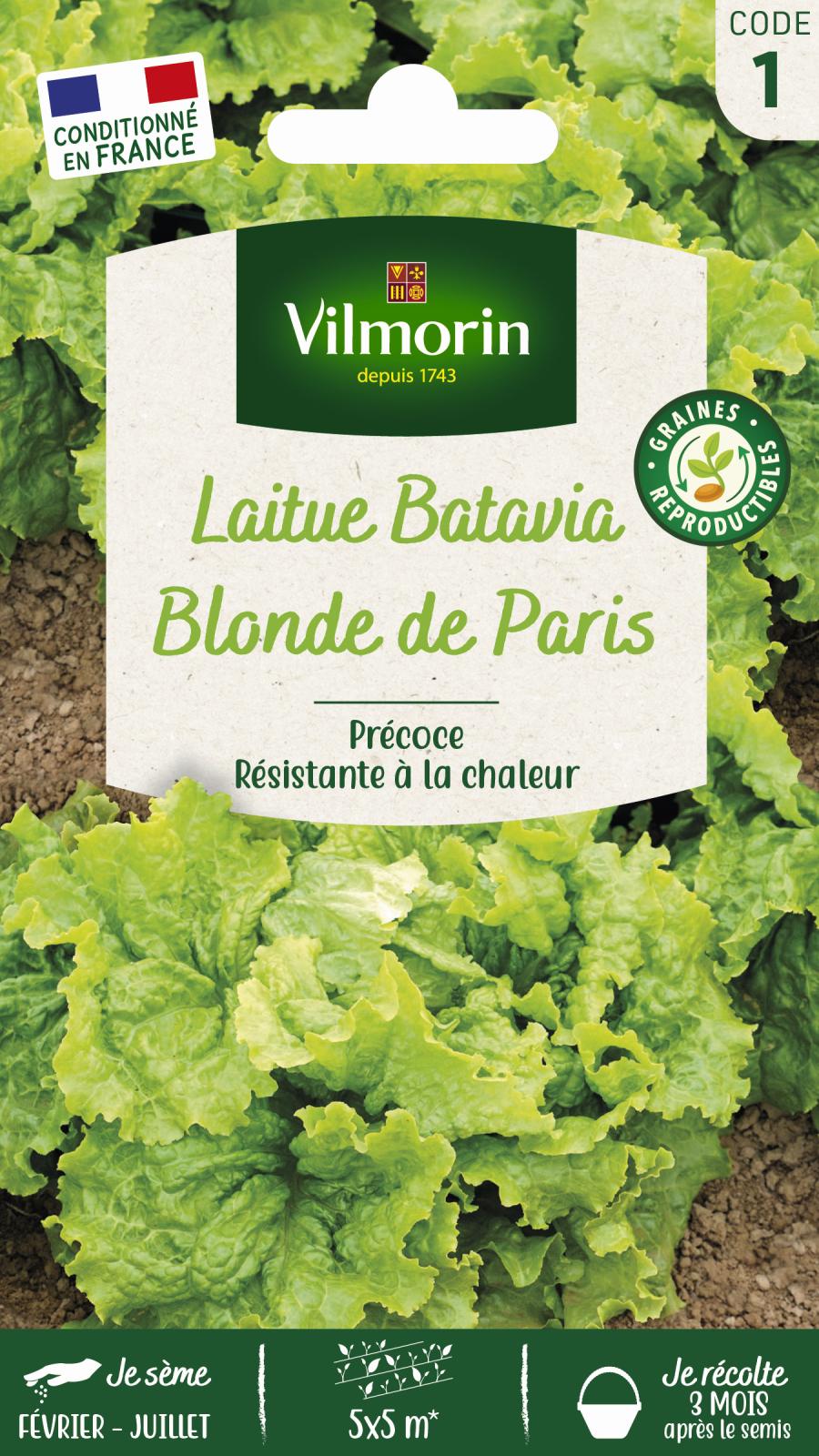 Laitue Batavia Blonde de Paris - 4gr