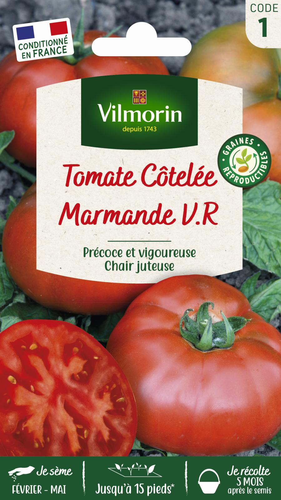 Tomate Marmande - 1.5gr