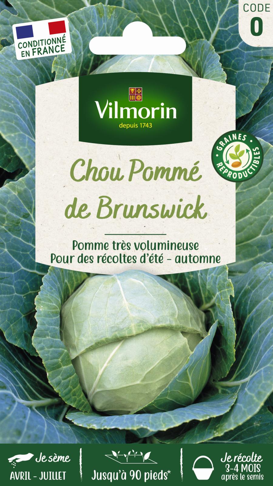Chou Blanc de Brunswick - 2gr