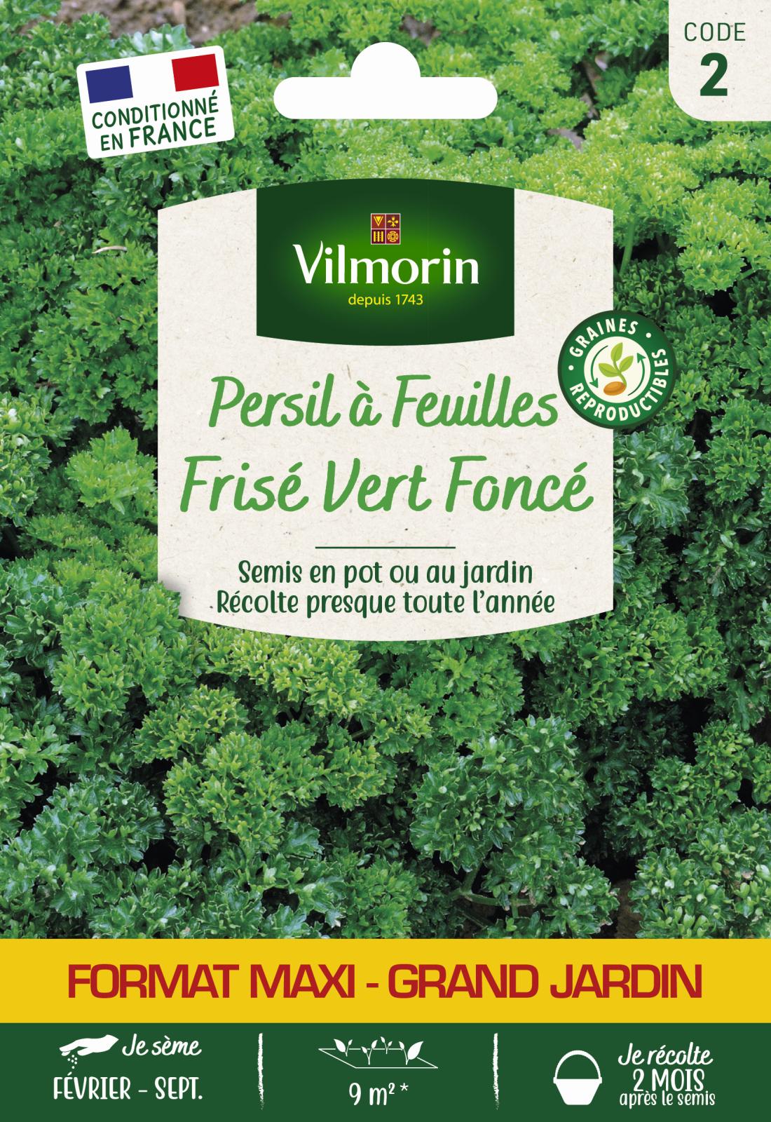 Persil Frisé Vert Foncé - 15gr