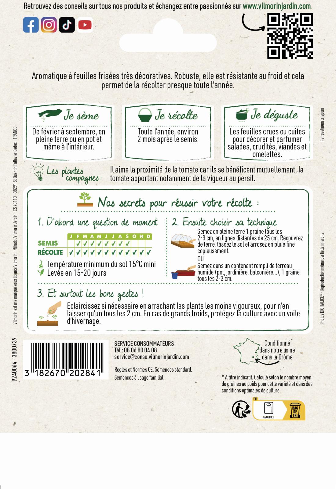 Persil frisé 2