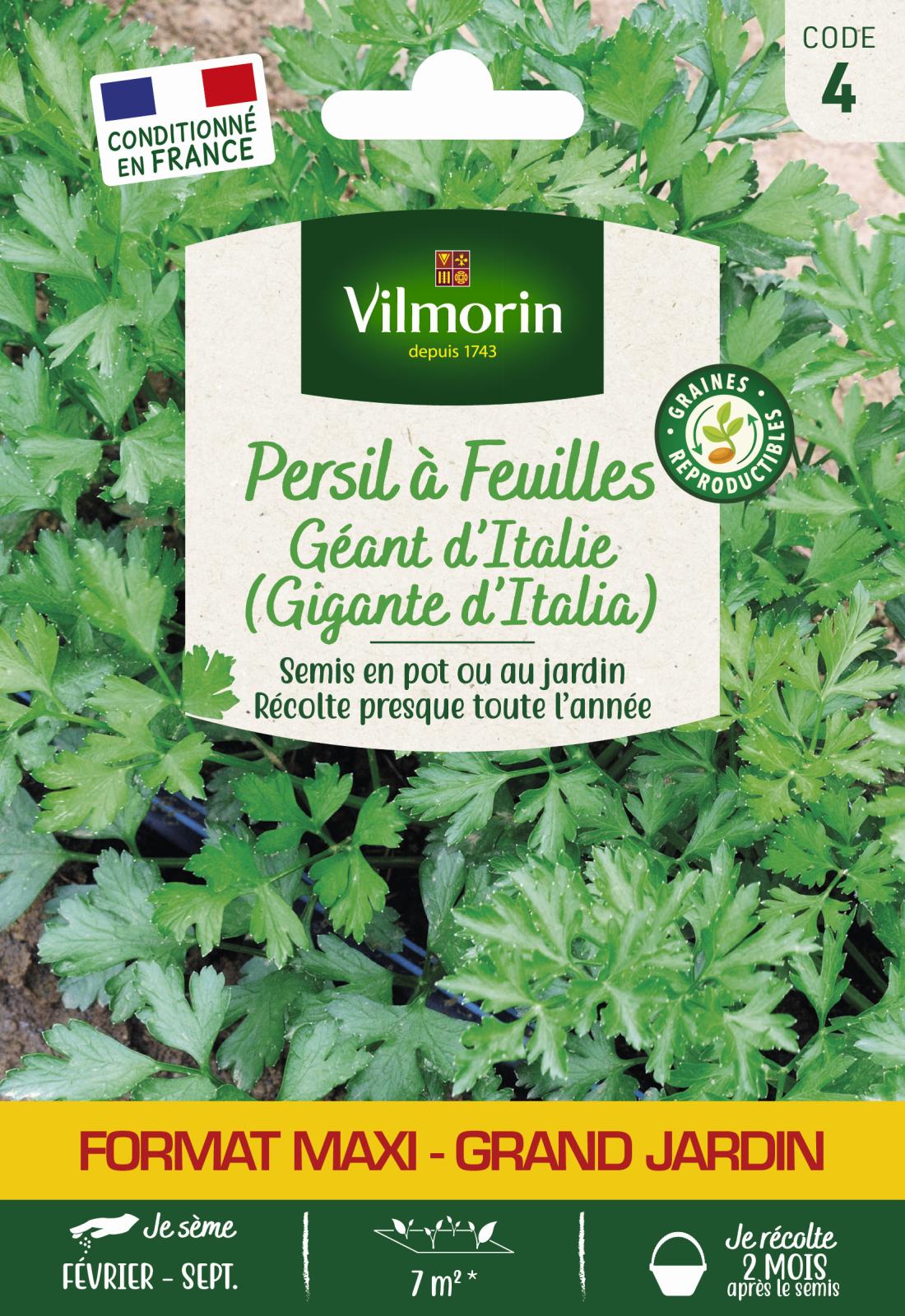 Persil Gigante d\'Italia (Géant d\'Italie) - 12gr