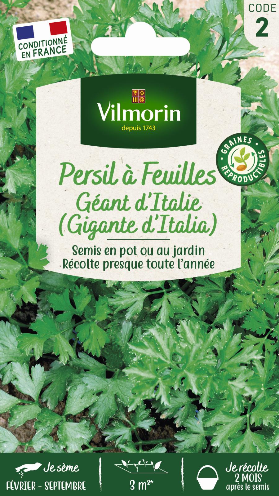 Persil Gigante d\'Italie (Géant d\'Italie) - 5gr