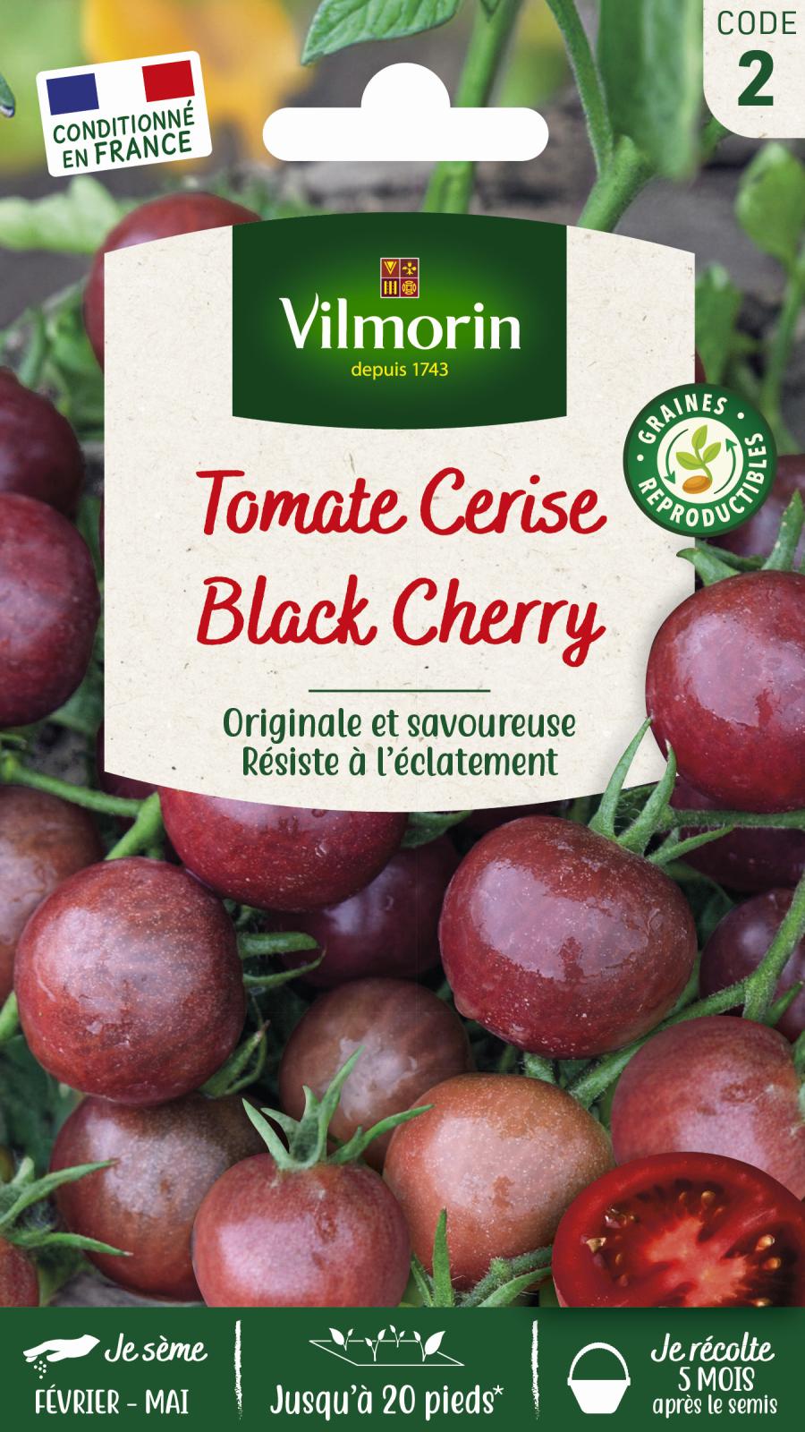 Tomate Cerise Black Cherry - 0.1gr