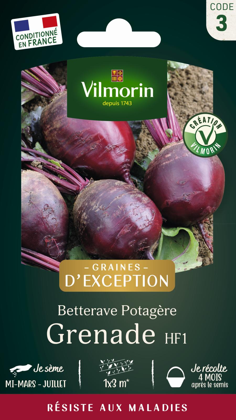 Betterave Potagère Grenade - Graines d\'Exception - 4gr