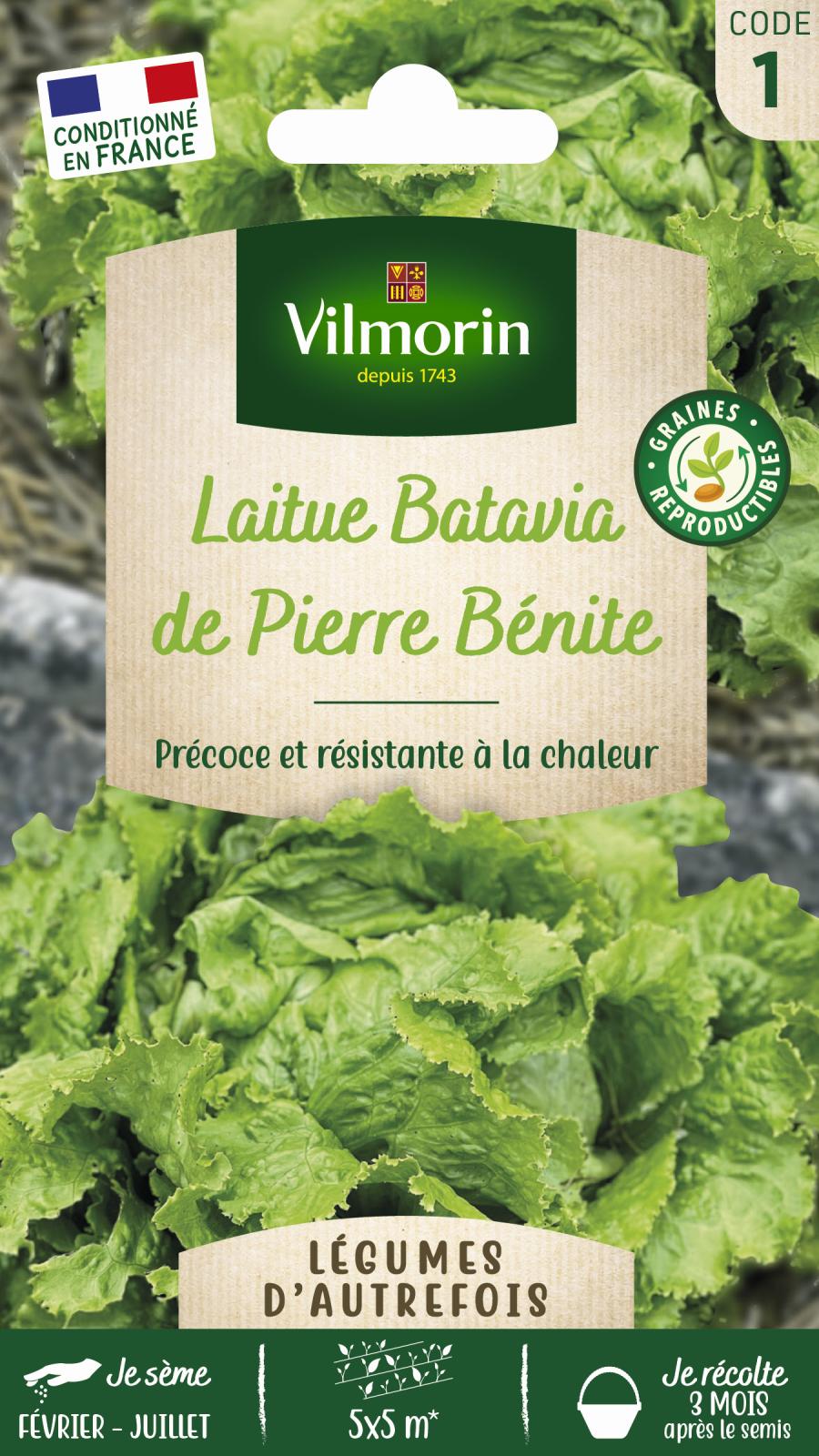 Laitue Batavia de Pierre Bénite - Légumes d\'Autrefois - 4gr