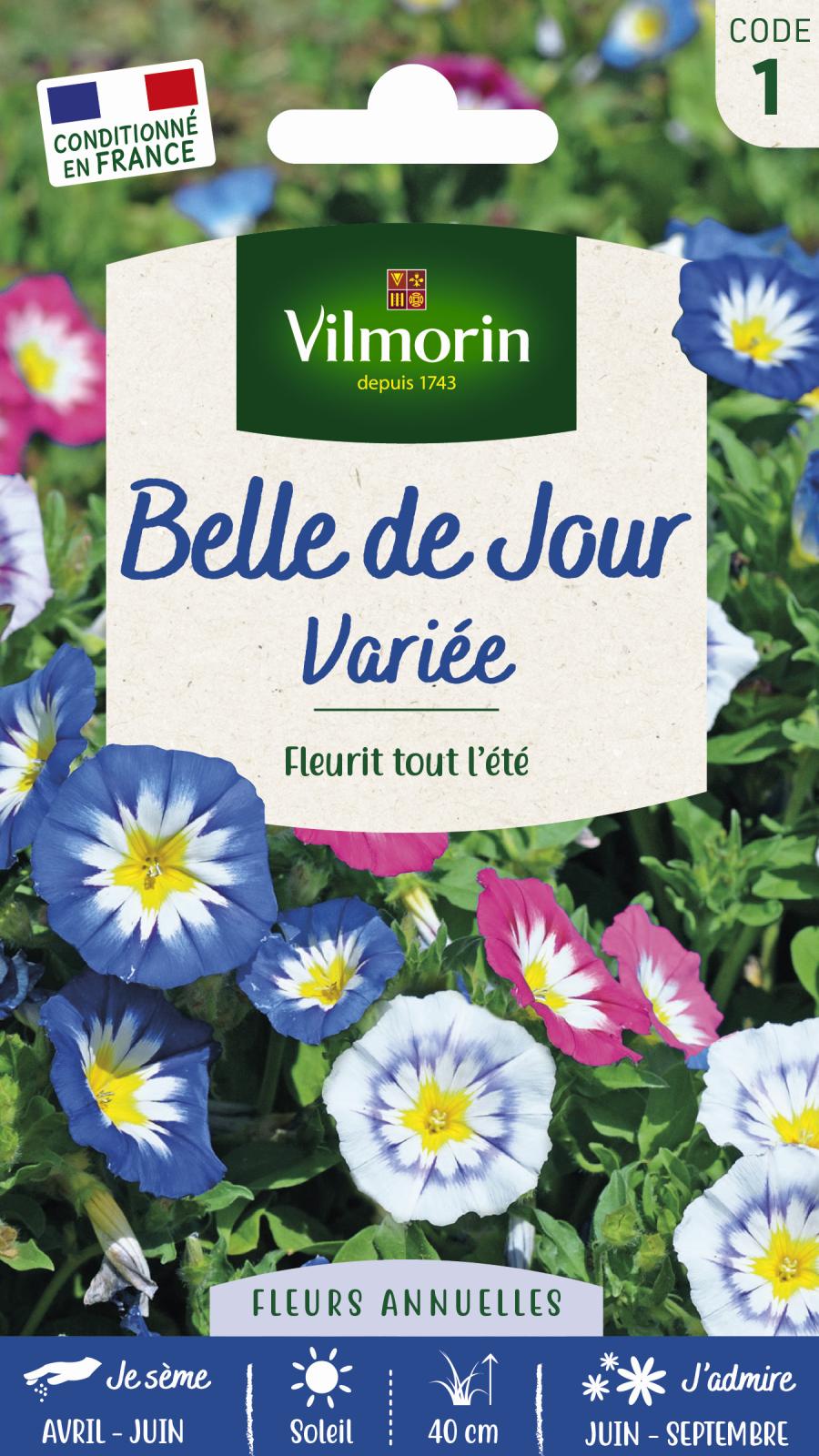 Belle de Jour Variée - 4gr