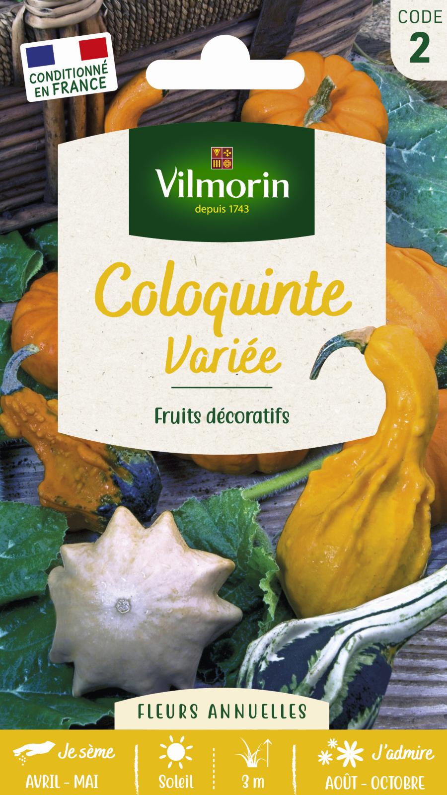 Coloquinte Variée - 3gr