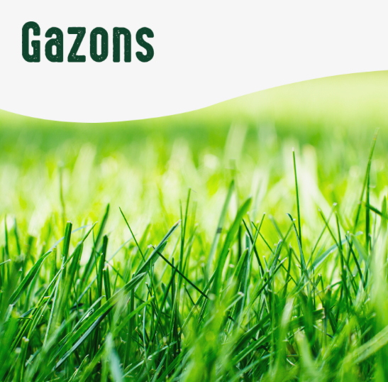 Les Gazons Vilmorin