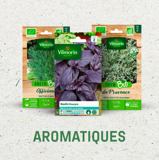 Aromatiques vilmorin