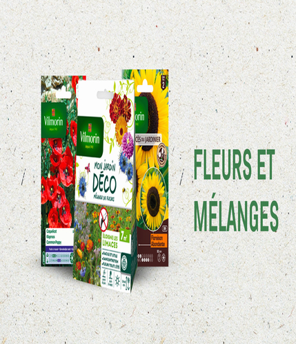 Fleurs et mélanges vilmorin