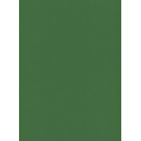Papier peint intissé uni vert sapin