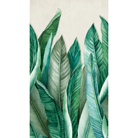 Papier peint intissé panoramique - Feuilles de Bananier vert
