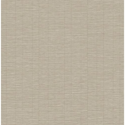 bamboo1