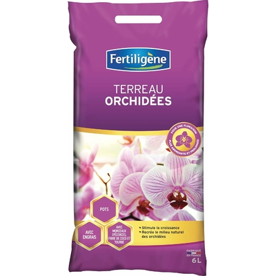 erreau Orchidées