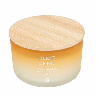 TERRE DE FEU