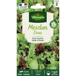 mesclun 1