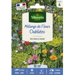 fleurs oubliees