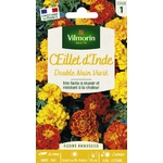 oeillet d'inde