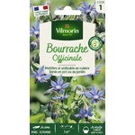 BOURRACHE 1