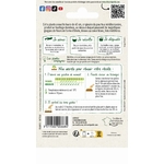 BOURRACHE 2