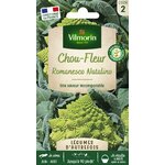 romanesco 1