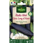 radis noir