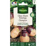 rutabaga 1
