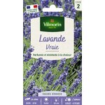 lavande 1