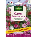 COSMOS6GR