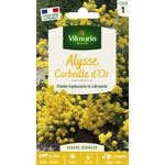 ALYSSE 1