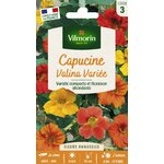 valina1